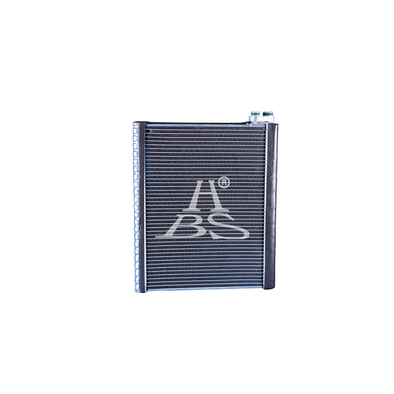 Evaporator For 885010N020